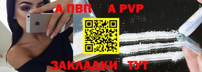 шишки Берёзовский