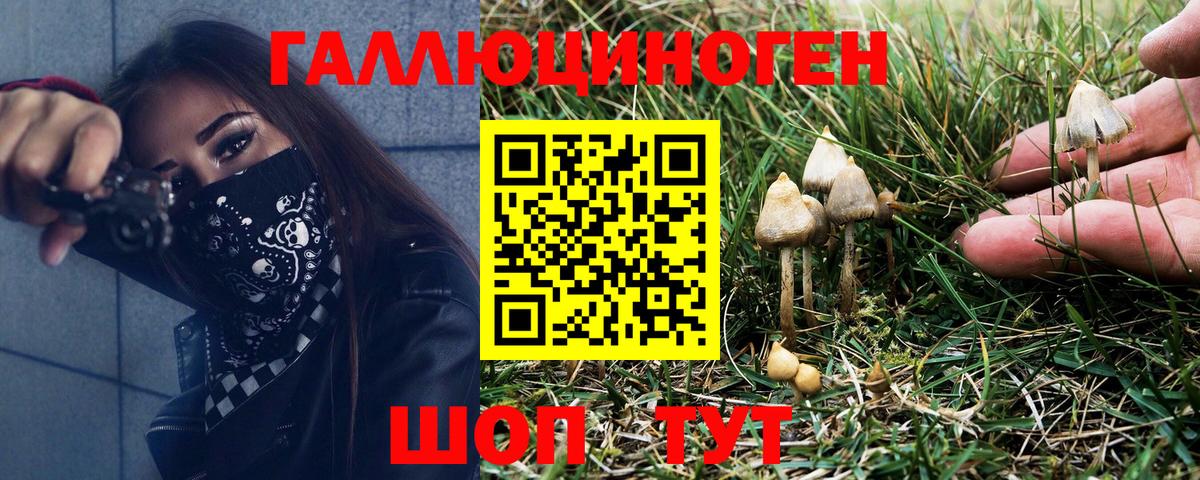 Галлюциногенные грибы MAGIC MUSHROOMS Озёрск