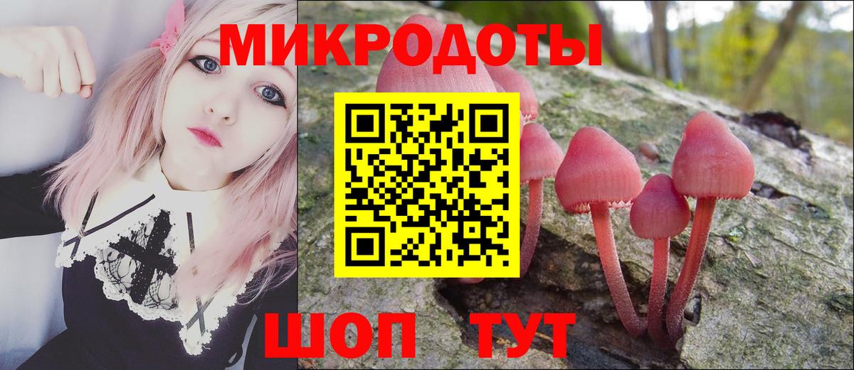 Озёрск  Галлюциногенные грибы мухоморы  Вход с VPN 